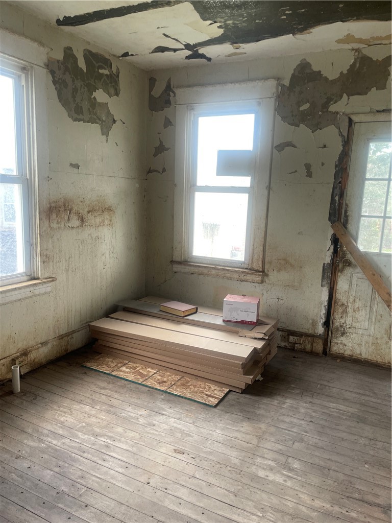 578 dorothy — photo 8