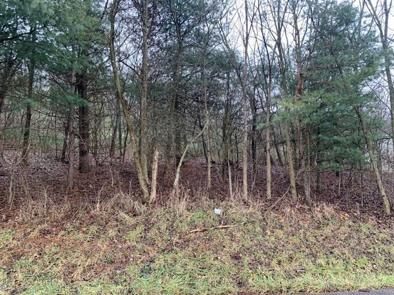 Lot 5 Ringertown Road — photo 1
