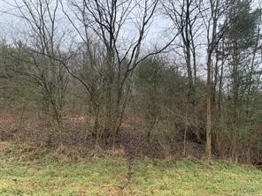 Lot 6 Ringertown Road — photo 1