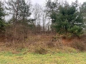 Lot 8 Ringertown Road — photo 1