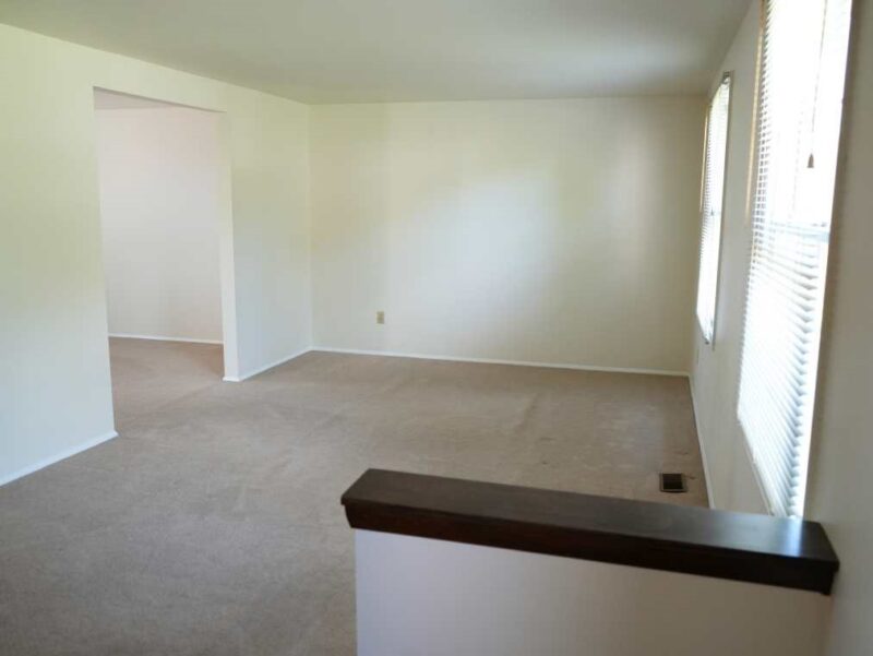 133 PAGODA DRIVE — photo 4