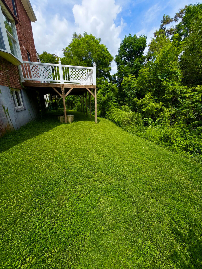 216 CARMELLA DRIVE — photo 7