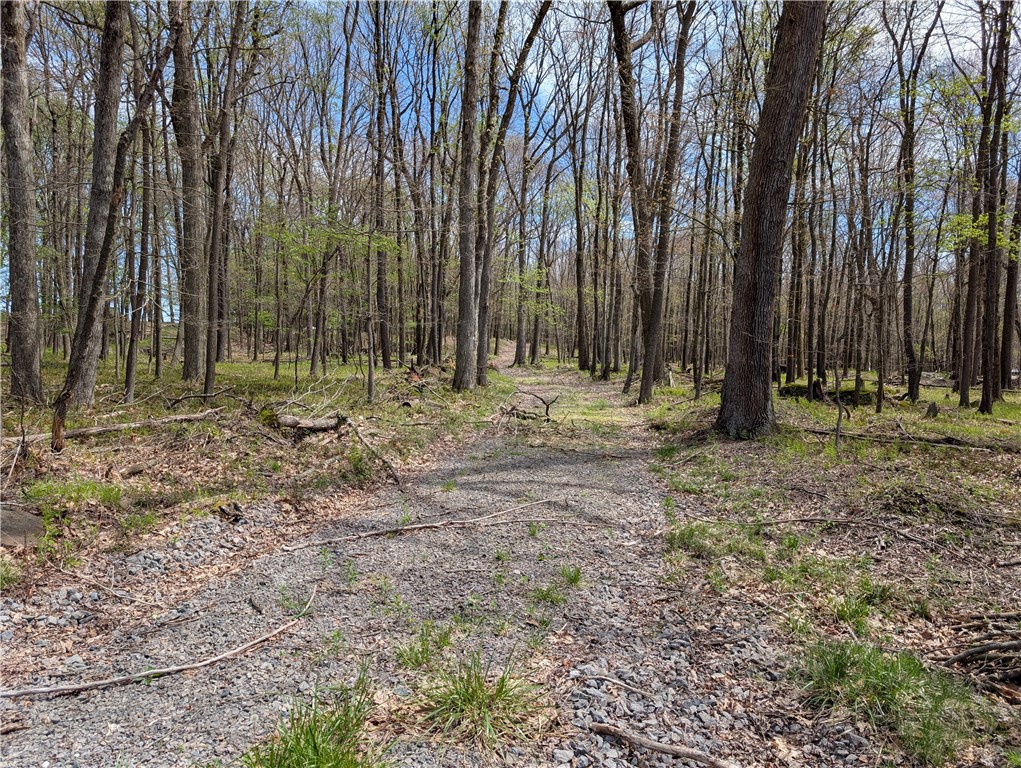 435 Daubenspeck Rd — photo 1