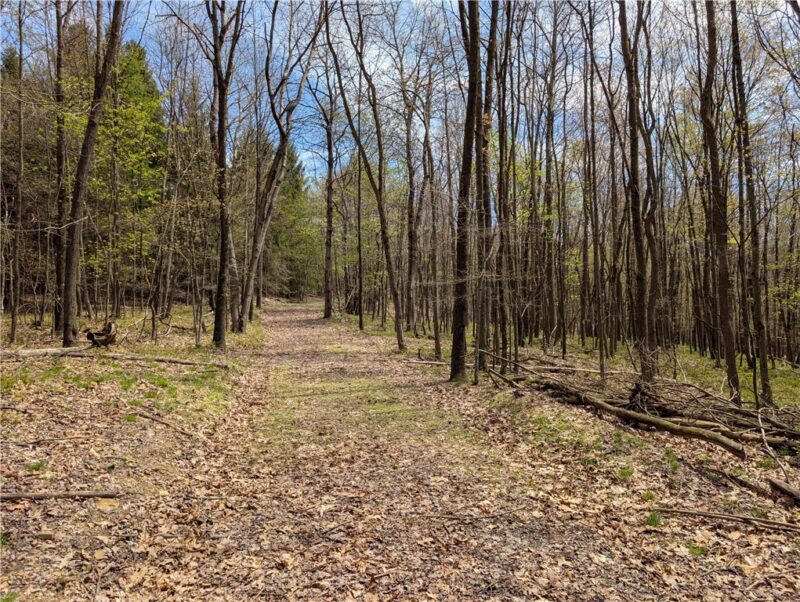 435 Daubenspeck Rd — photo 2