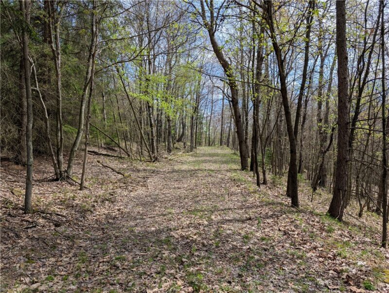 435 Daubenspeck Rd — photo 3