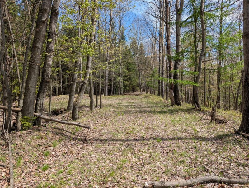 435 Daubenspeck Rd — photo 4