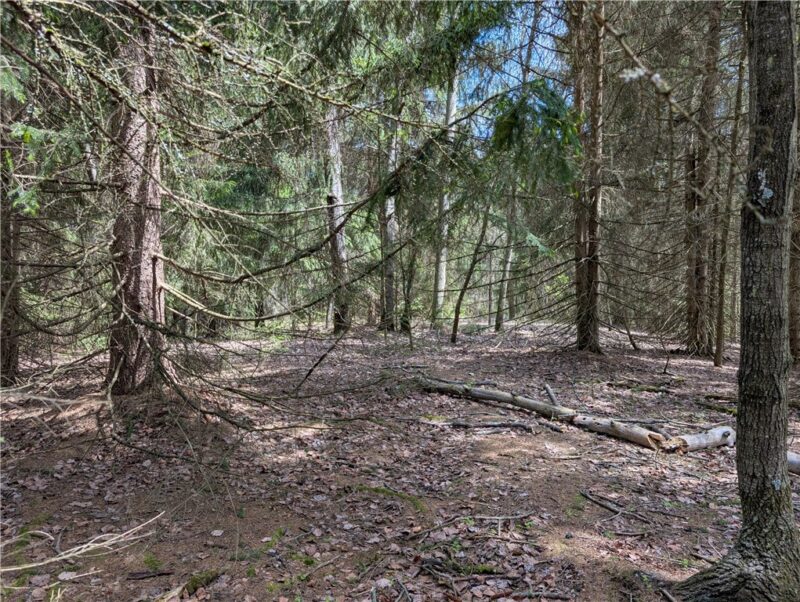 435 Daubenspeck Rd — photo 5
