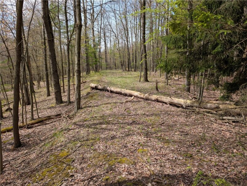 435 Daubenspeck Rd — photo 8