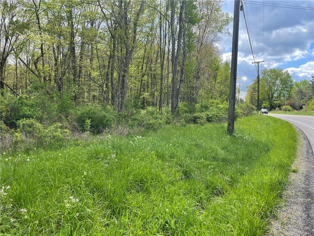 0 Mercer Road — photo 1