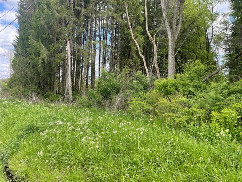 0 Mercer Road — photo 2