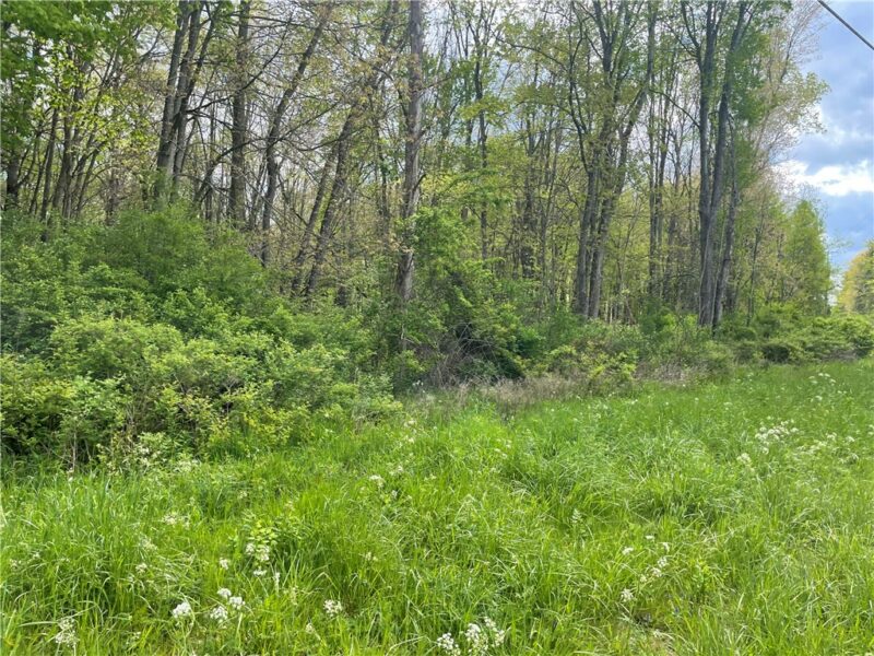 0 Mercer Road — photo 3