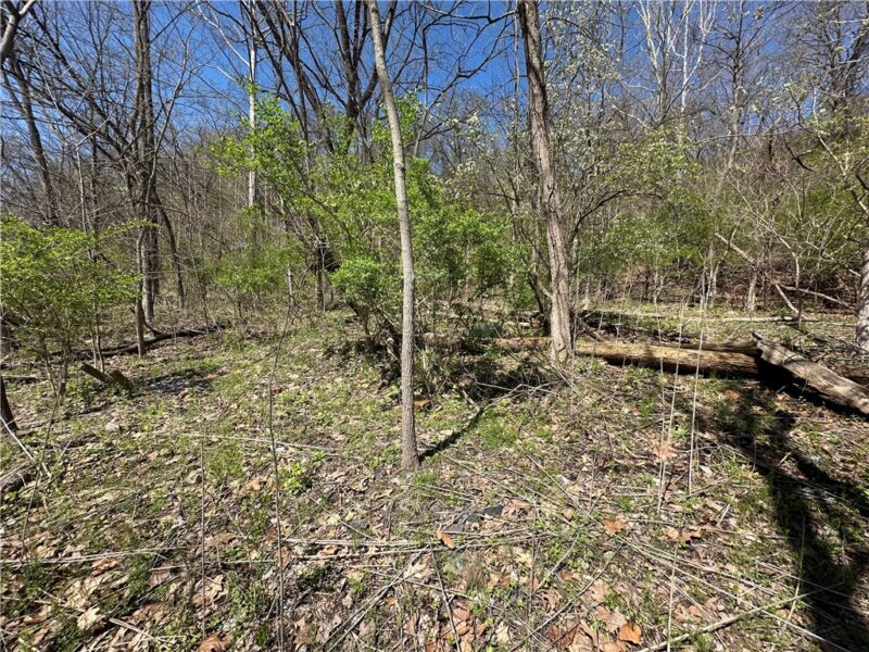 0 Bower Hill Road — photo 3