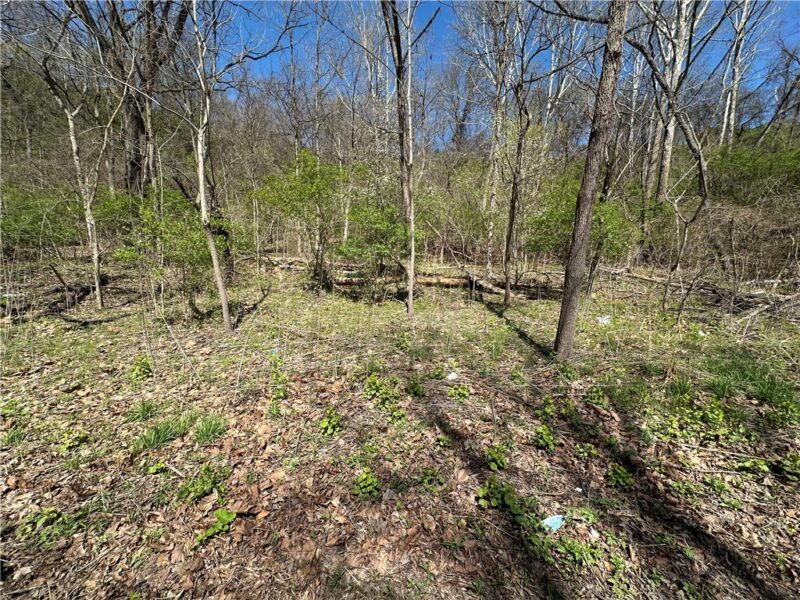 0 Bower Hill Road — photo 4