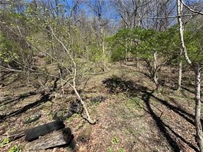 00 Bower Hill Road — photo 1
