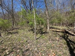 00 Bower Hill Road — photo 2