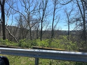 00 Bower Hill Road — photo 5