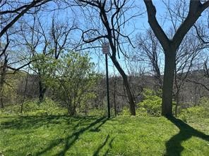 00 Bower Hill Road — photo 6