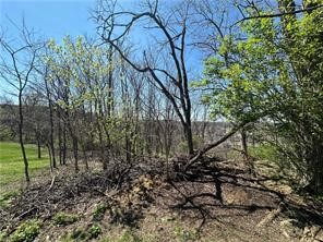 000 Bower Hill Road — photo 4