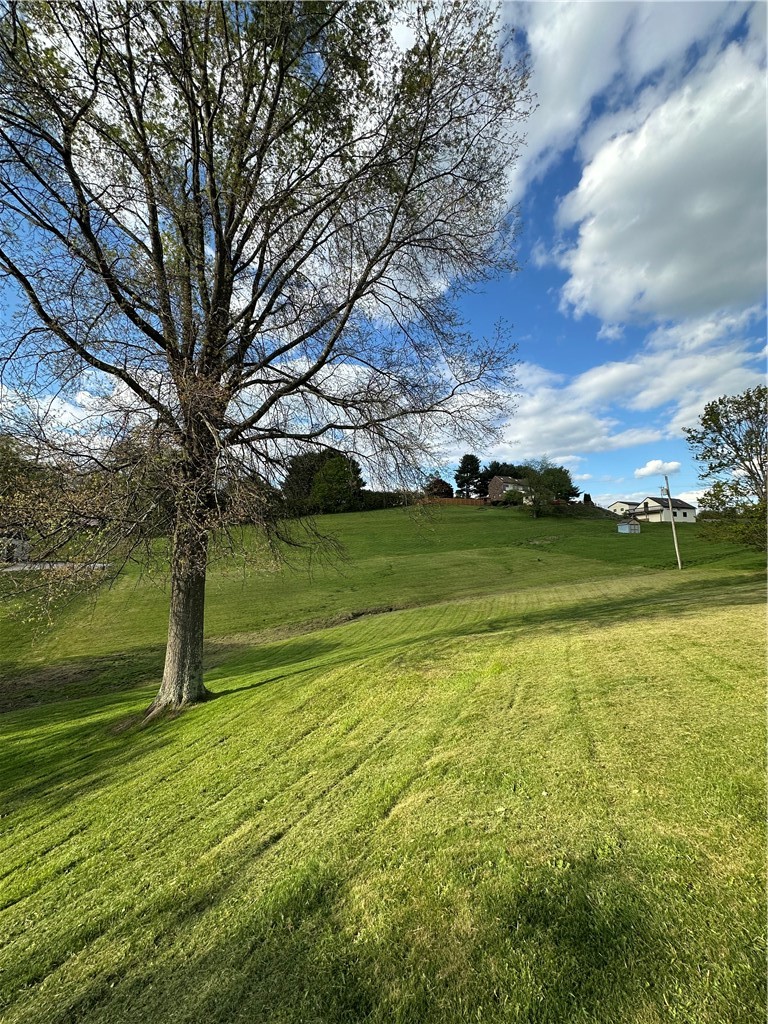 305 Tollgate School Rd — photo 4