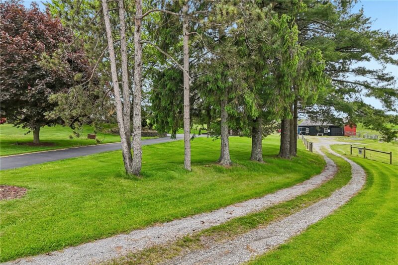 1636 Perry Highway — photo 4