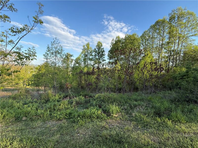 139 Crystal Dr — photo 3