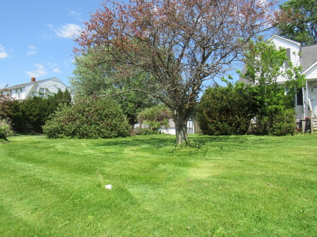 1052 N Eighty Eight Road — photo 6