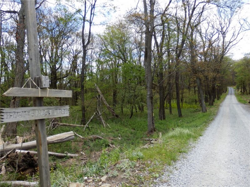 Lot 79 Hawks Nest Rd — photo 2