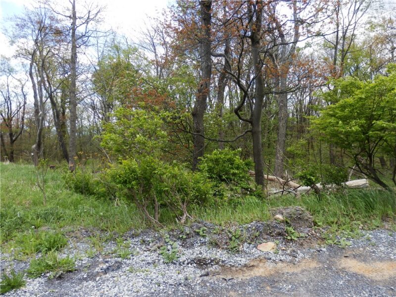 Lot 79 Hawks Nest Rd — photo 3