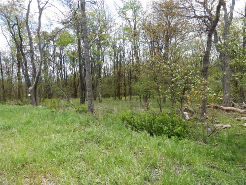 Lot 79 Hawks Nest Rd — photo 4