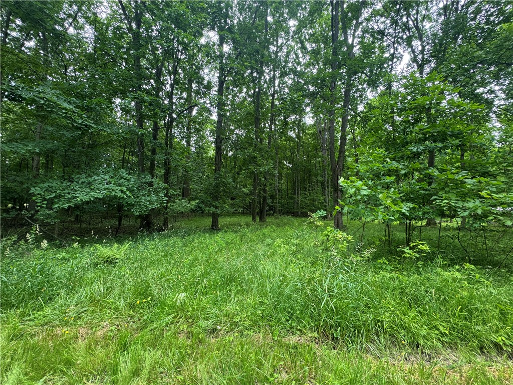 0 Trails End Rd — photo 1