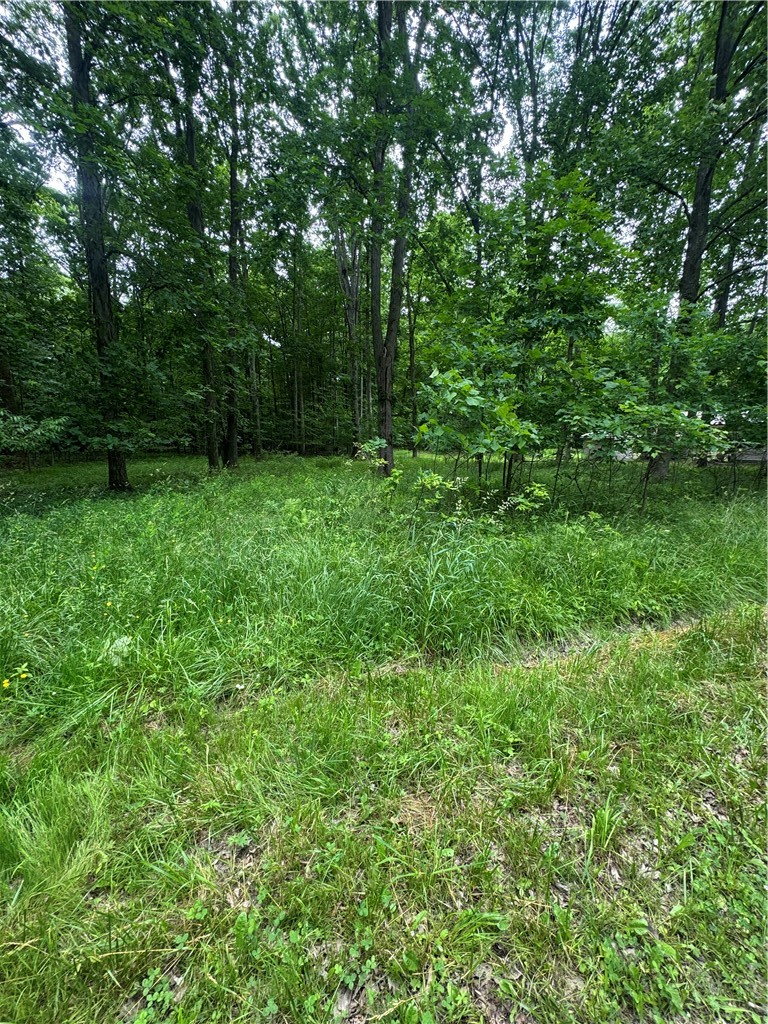 0 Trails End Rd — photo 3