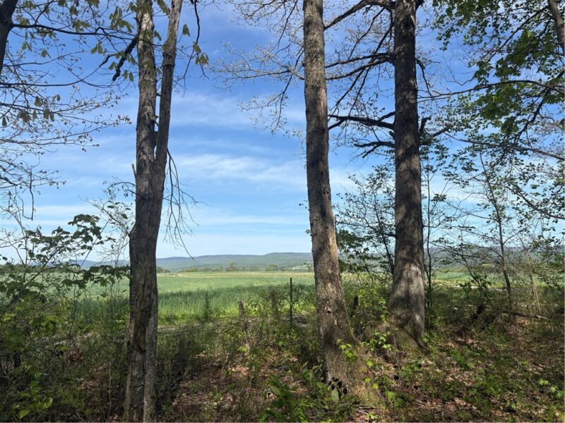 Lot 3 & 4 Killarney Road — photo 4