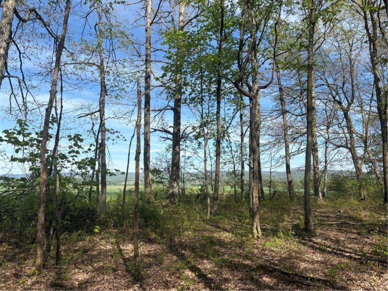 Lot 3 & 4 Killarney Road — photo 8