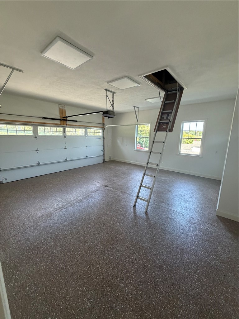 480 Matty — photo 8