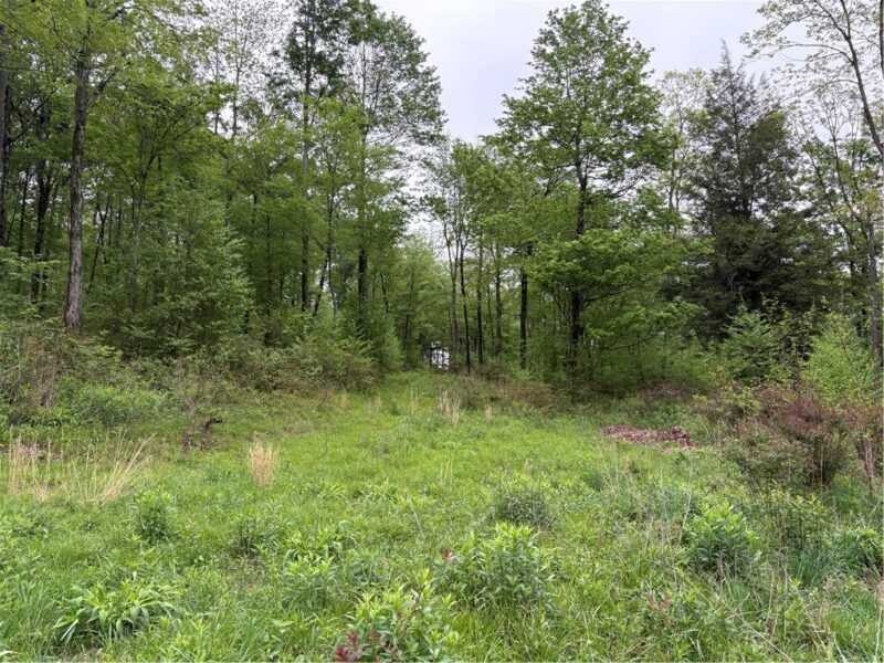 Lot 4 Cranberry Road — photo 2