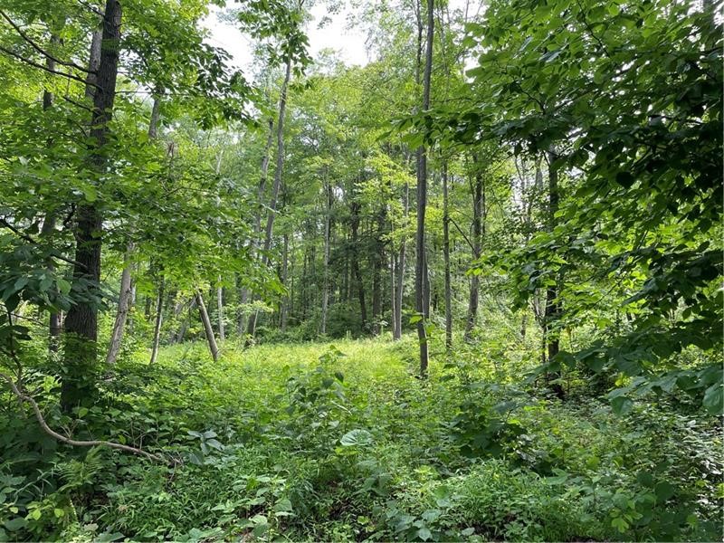 Lot 4 Cranberry Road — photo 4
