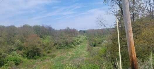 138 Beaver Run — photo 3
