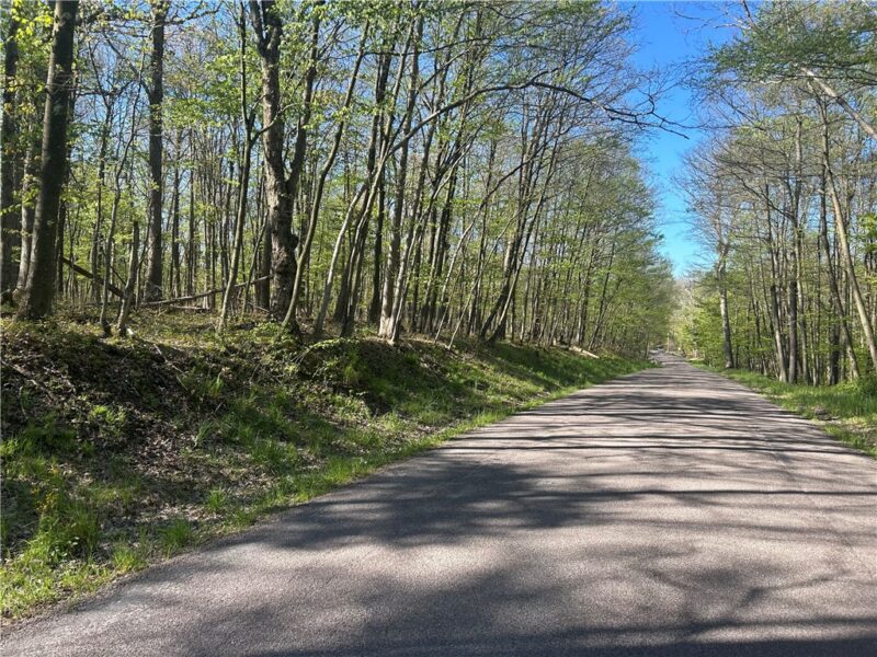 26171 Old Mill Rd — photo 2