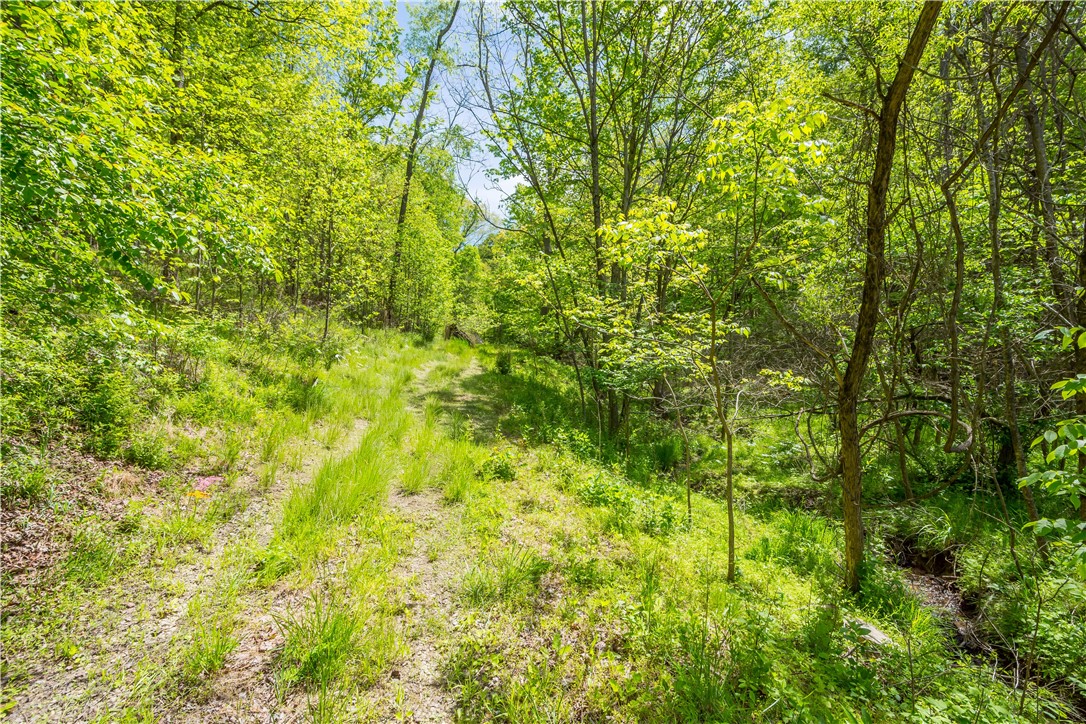 152 Chapel Hill Rd — photo 1