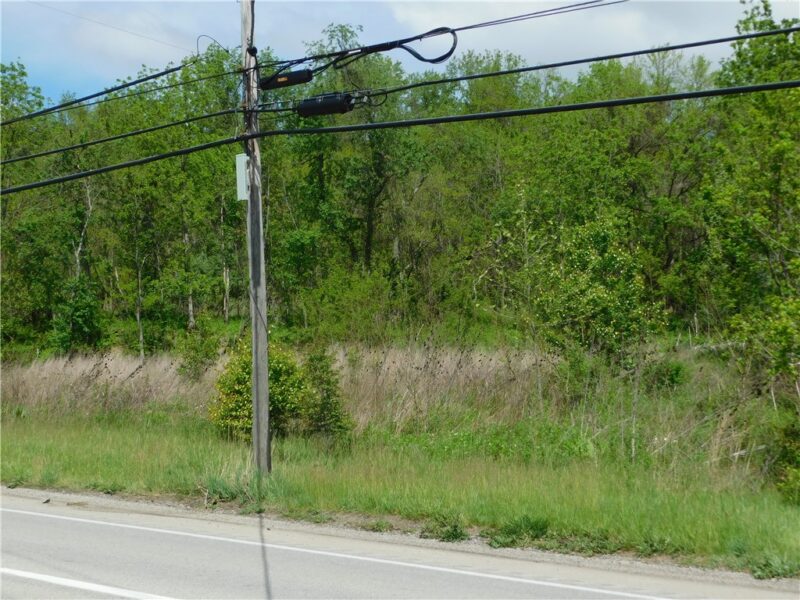 - University Drive — photo 8