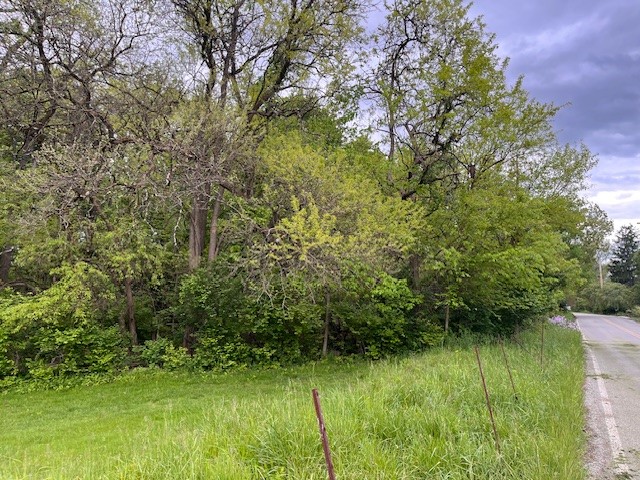 0 Cowan — photo 3
