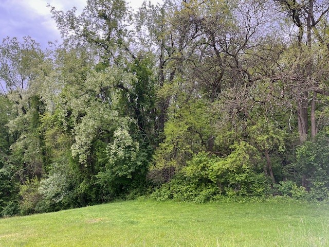 0 Cowan — photo 4