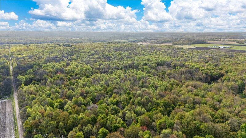 2851 Pine Rd — photo 3