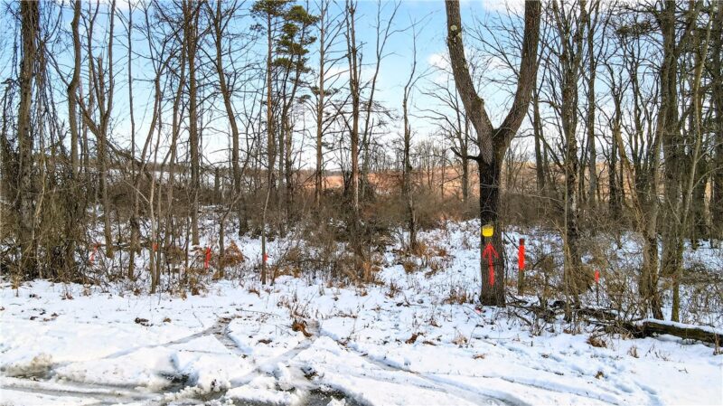 Lot 3 Matson Rd — photo 2