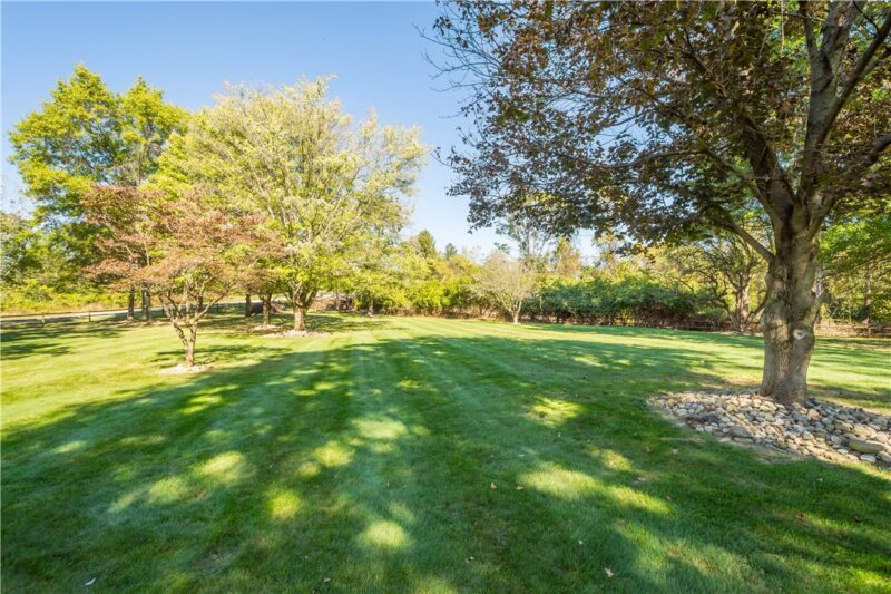 375 Wray Large Rd — photo 6