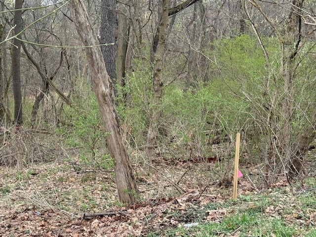 1765 Locust Rd — photo 5