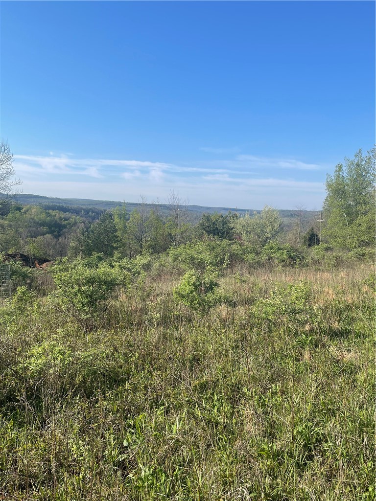 0 Erickson Dr — photo 6