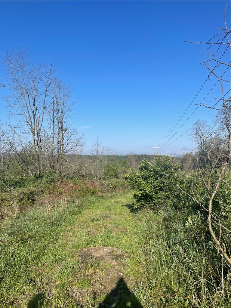 0 Erickson Dr — photo 8