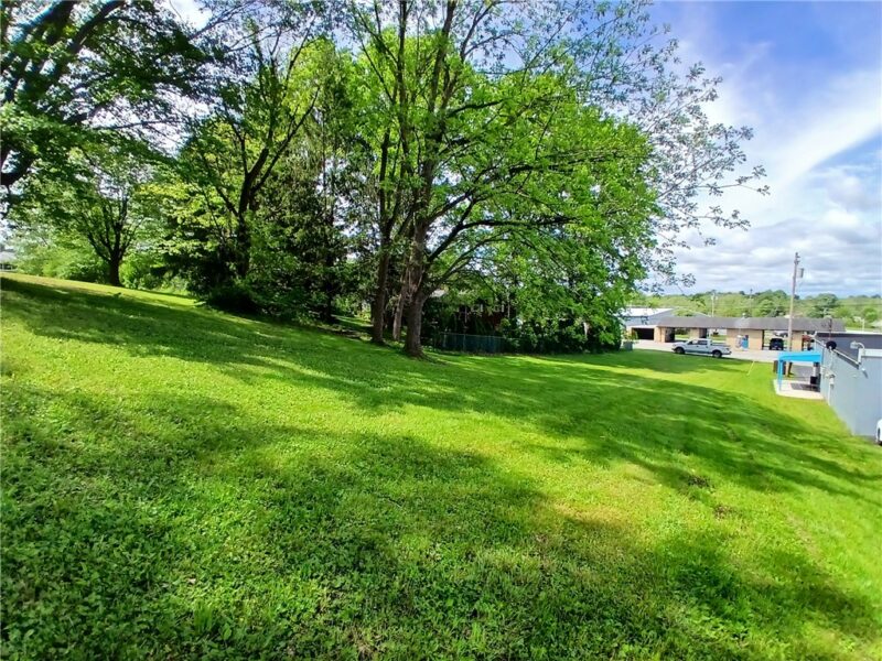 Lot 22 Spruce St — photo 2
