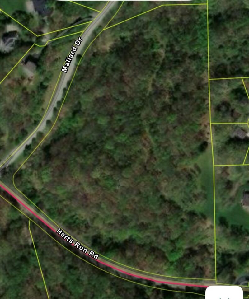 61 Mallard Dr — photo 3